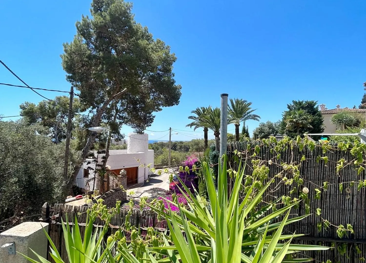 Casa Limon Villa Palma de Mallorca